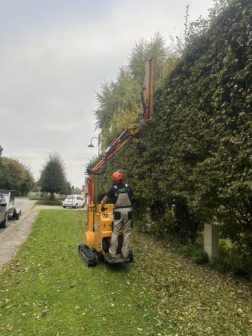 Équipe VB'Haies en intervention, taille de haie en hauteur